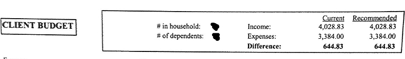 budget in cost of counselling