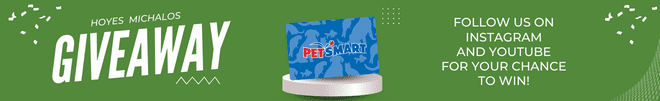 Hoyes Michalos giveaway petsmart giftcard for $50. Card in middle 